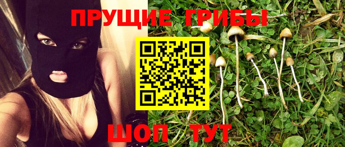 Галлюциногенные грибы MAGIC MUSHROOMS  Вход с VPN  Заринск 